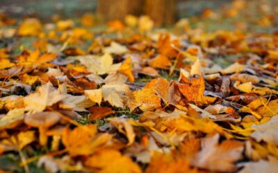 Czas zadumy, czas refleksji